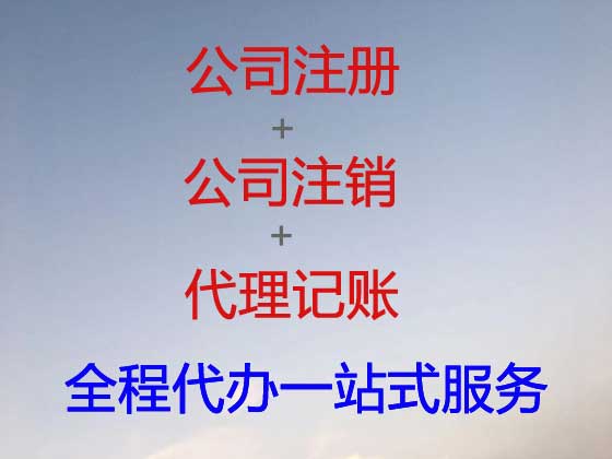 固原公司个体户注册-财务代理记账